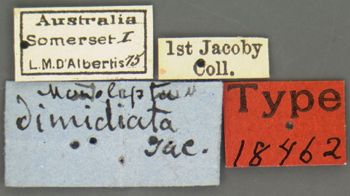 Media type: image; Entomology 18462   Aspect: labels